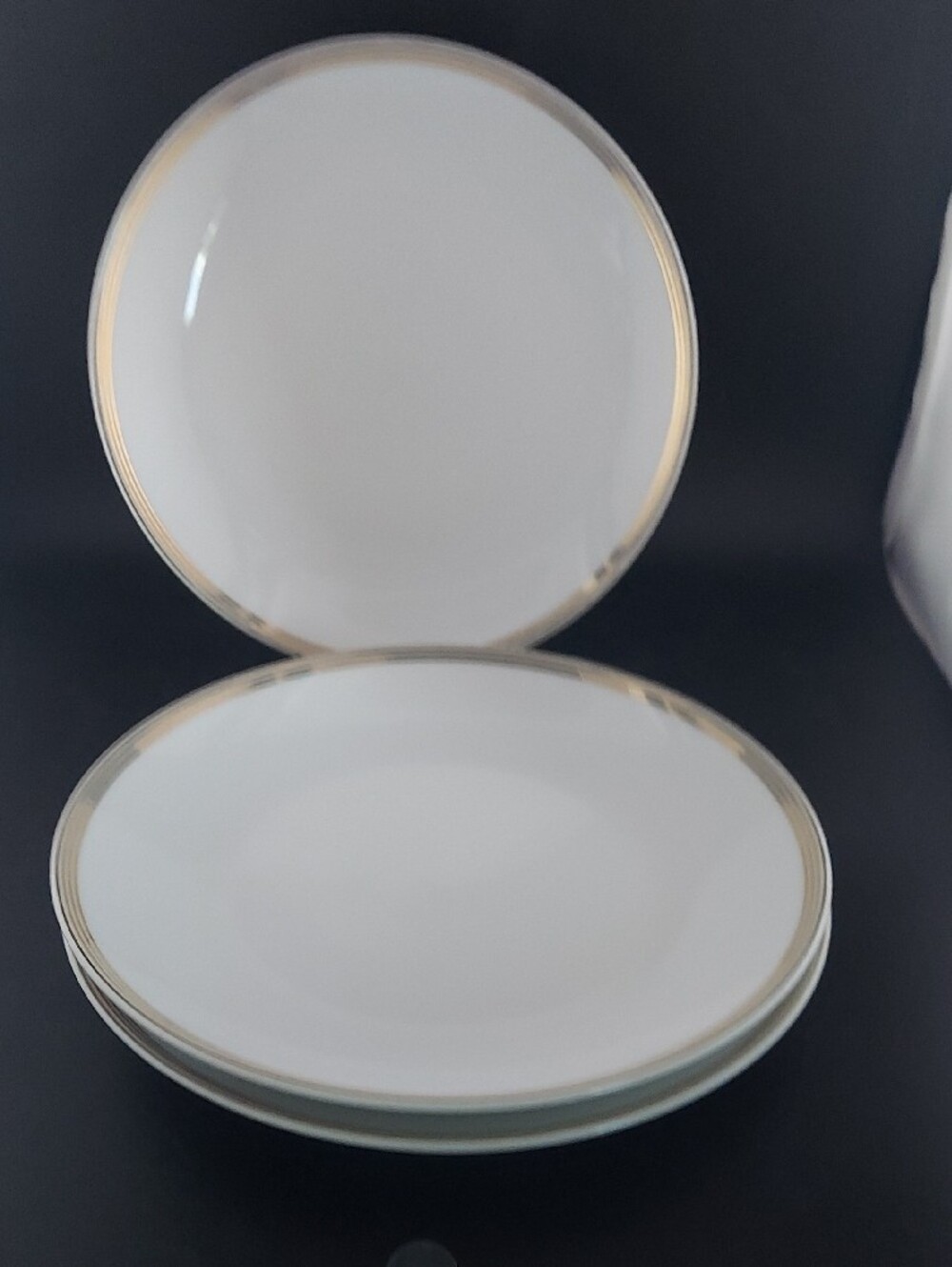 Martha Stewart Elegant White Dinner Plates with Gold Rim - Set of 3